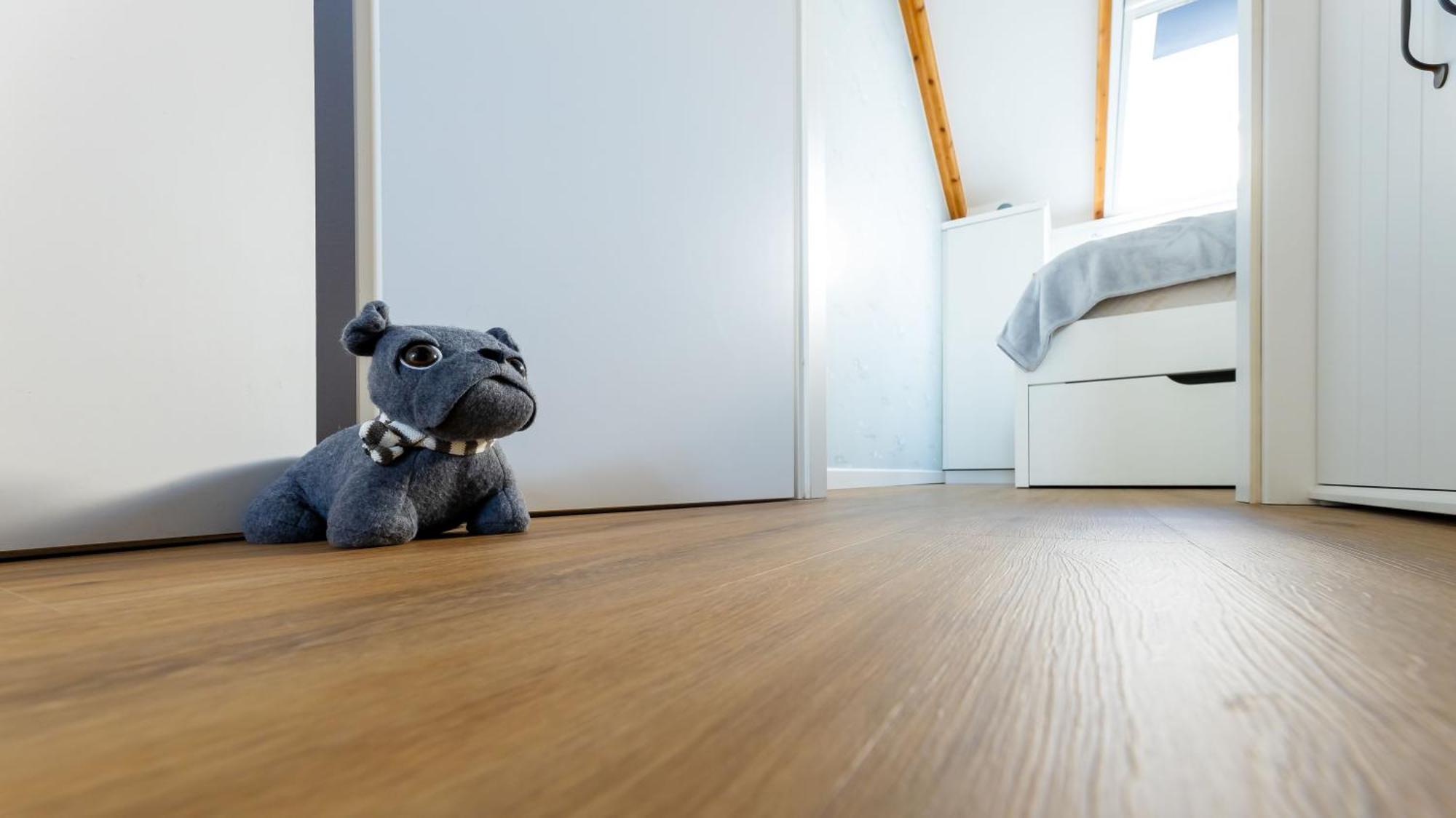 Haus Seeblick Mit 9 Wohnungen Alt Reddevitz Eksteriør billede